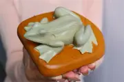 Carved Natural 4.8" Alashan Agate Frog,Crystal Frog Statue,decor Reiki gift