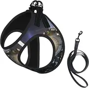 Steam Train print Dog Harness and Leash Set, Reflective Adjustable Puppy Vest for Small Medium Large Dogs, Cats