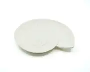 Rayell Harp Shell Trinket Tray Cream Home Decor/Storage Container MDF 23x20x2cm