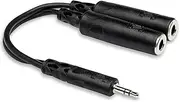 Hosa Y Cable with 3.5 mm TRS to Dual 1/4 Inch TRSF Connector