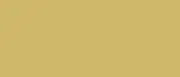 Lifecolor Olive Drab Yello Tone 22ml Acrylic Paint