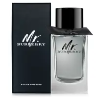 在飛比找momo購物網優惠-【BURBERRY 巴寶莉】Mr. Burberry男性淡香