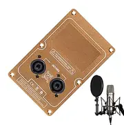 Speaker Wiring Board - Double 4-Core Speaker Jack Plate,Binding Post Terminal Cable Connector, Audio Amplifier Socket