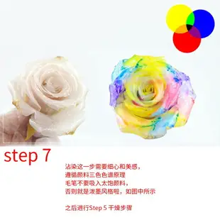 【永生花製作液】DIY 永生花製作液 AB液 不凋花 保鮮花 乾燥花