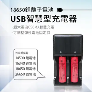 日本三洋原廠18650 全新高效能高容 2600mAh 鋰電池+USB充電器 --- 免運