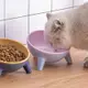寵物碗 貓咪碗 狗碗 貓碗架 寵物碗架 貓咪斜碗 寵物碗架 餵食碗 斜口碗 斜口碗架 超萌傾斜碗架 (2.8折)