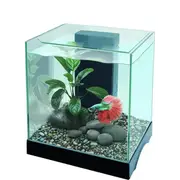 Pisces Aquatics Glass Betta Tank For Fish Shrimp Snail Tank Aquarium