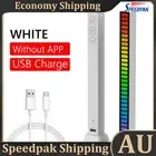 USB 5V Sound Control Light RGB 32 LED Pickup Lamp Bar (White) AU