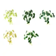 Betta Leaf Bed Safe Fish Spawning Grounds Fishtanks Landscape Terrariums Decors