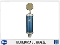 在飛比找樂天市場購物網優惠-Blue BLUEBIRD SL 麥克風 XLR接口 錄音 