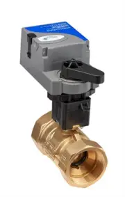 Johnson Controls VG1245FTH910HGC 2NPT 2W 73.7Cv 24V NSR w/AUX