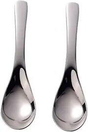 HAKIDZEL Stainless Steel Boys and Girls Spoons Set of 2 Polished Toddler Spoons for Home Use