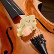5 PCS 4/4 Full Size Cello Bridge Maple Wood Cello Parts Standard French Bridge