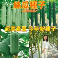 在飛比找蝦皮購物優惠-壹號園藝💎絲瓜種子💎【免運】特長絲瓜種子 大肉絲瓜種子 棱角