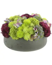 Creative Displays Sedum & Hydrangea Arranged in Round Pot