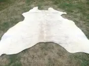 MAKE OFFER !! LARGE WHITE Cowhide Rug natural HAIR ON Cow Hide Skin light solid