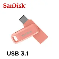 在飛比找樂天市場購物網優惠-(現貨)SanDisk晟碟 SDDDC3 Ultra Go 