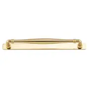 Sarlat Cabinet Pull With Backplate Polished Brass Ctc256Mm