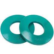 0.5kg Steel Fractional Plates Pair