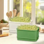 2x Sprouts Tray Planter Cultivation Box Growing Kit for Office Garden Indoor