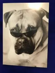 Hallmark Birthday Greeting Card -"Here's lookin' at you." Portal NEW(A44)