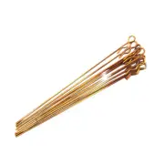 1:10 RC EP Nitro Car Bodyshell Long Pin Clips Plating gold 10pcs