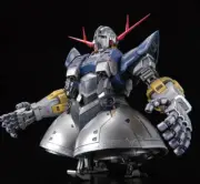 RG 1/144 Ziong Special Coating Ver. Model Kit GUNDAM BASE Limited