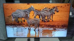 Panasonic 國際牌 55吋 4K 智慧聯網 液晶電視 TH-55FX700W