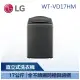 【LG 樂金】 WT-VD17HM 17公斤 AI DD™智慧直驅變頻洗衣機 曜石黑 (WT-VD17HM)