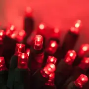 50 Red Christmas Mini Lights Tree Home Party Xmas Valentines Lights 6" Spacing
