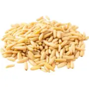 High Quality Pine Nuts/Ready to Cook/ Edible/450 gramsصنوبر عالي الجودة
