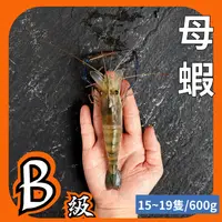 在飛比找蝦皮購物優惠-【黑豬泰國蝦】母蝦1斤約15~19隻/活蝦鮮凍