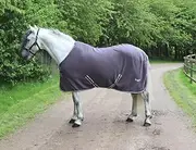 Elite Fleece Rug-5/9-Grey