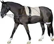 Cheval Lunging Aid Floor Work Training Pony and Small Horses Lunging System Warmblood Lunging and Training System Lunging Auxiliary Reins