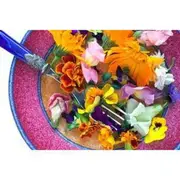 EDIBLE FLOWER PACK 12 packets of seeds