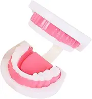 Luwecf Dental Model for Teaching Tooth Anatomy And Care, 3 Times Bigger