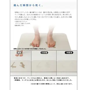 日本代購 空運 Soil 日本製 珪藻土 腳踏墊 Bath Mat aqua 流線輕薄型 地墊 矽藻土 硅藻土 吸水速乾