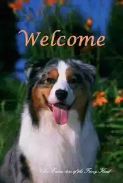Australian Shepherd Close Encounters of the Furry Kind Welcome Flag