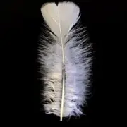 Flat Top Marabou Feather Pack 10 grams - White