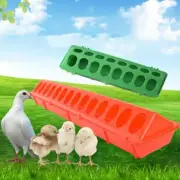 16 Holes Feeder Storage Trough Quail Drinker Plastic Wild Chick Birds Pigeons AU