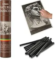 25-piece Willow Charcoal Sticks, Ideal for Artists, Beginners, Students, Perfect for Sketching, Drawing, Shading, and Fine Art, 5.7 Inches Long, 2-4,4-5,5-7,7-9 (2-4)