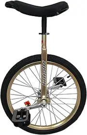 20"/24" Gold Unicycle for Big Kid/Teen/Adults/Female/Male, for Fitness Exercise Beginner, Skid Proof Wheel Alloy Rim Bike (Size : 24Inch) Durable TDF