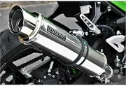 Beams Motor Company R-EVO2 Slip-On Stainless Steel NINJA400 2BL-EX400G/8BL-EX400L G432-54-P3J
