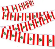 MacLand 30 PCS Lebanon Flag String,32 FT Lebanese Bunting,Decoration Banner for Outdoor Indoor Patio Yard Decor