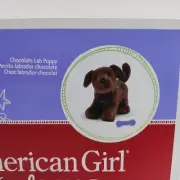 American Girl Chocolate Lab Puppy - Box Wear