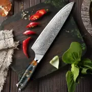 Japanese 67 Layers Damascus Steel Chef Kitchen Knife Ultra Sharp Cooking Knife