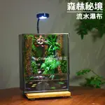 ▽☏♦創意雨林造景苔蘚微景觀成品桌面盆栽生態缸觀魚水陸爬寵生態缸