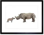 Photo Composition Nature Animal White Rhinoceros Cute Calf Framed Wall Art Print