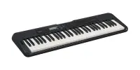 在飛比找Yahoo!奇摩拍賣優惠-卡西歐 CASIO CT-S300 CTS300 61鍵 電