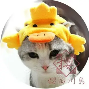 寵物帽子可愛動物造型變身裝帽貓咪草帽獅子帽頭飾【櫻田川島】